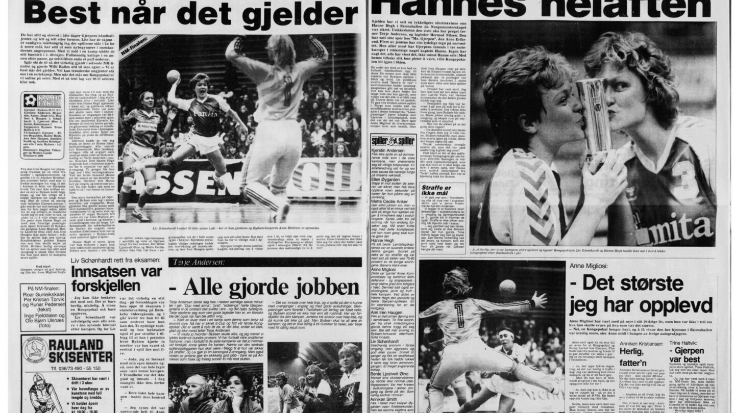 NM gull 1985